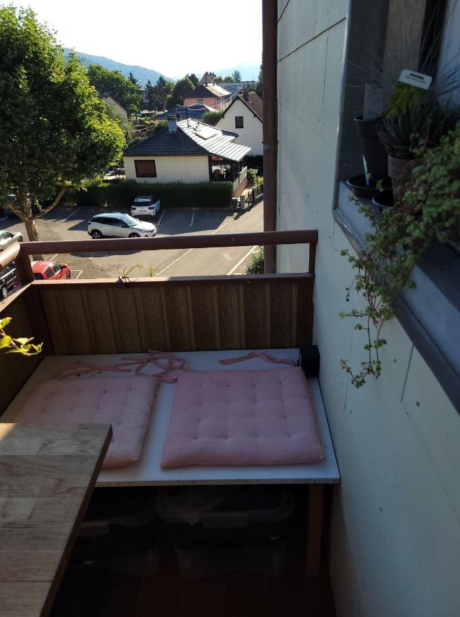 Appartement Au Cigogneau Wifi-Netflix-Balcon-Parking 묑스테르 외부 사진