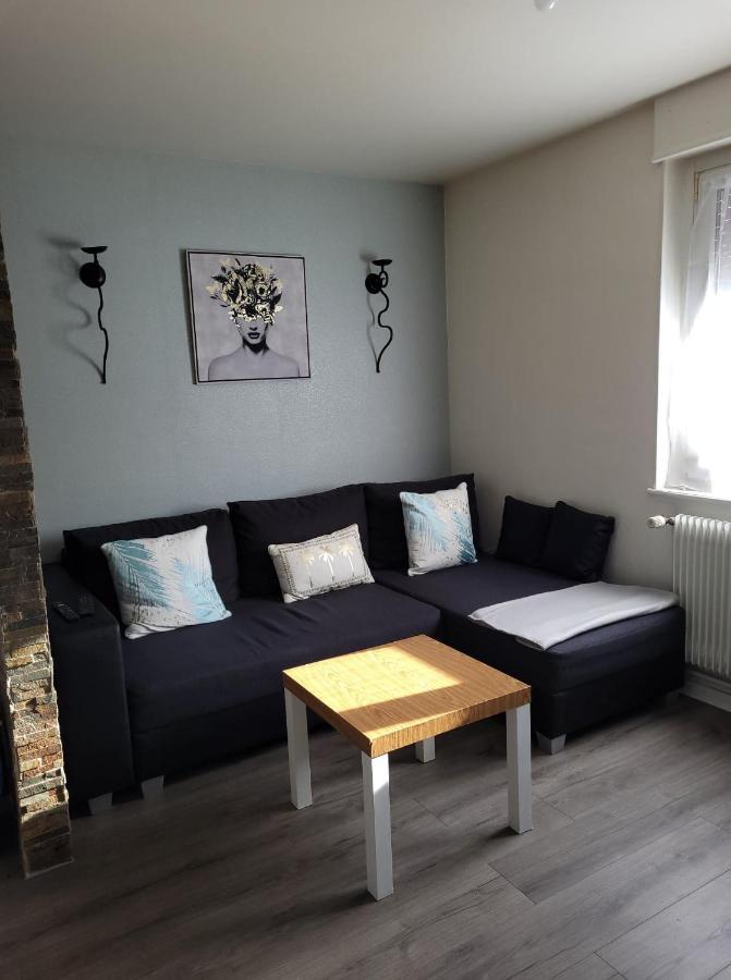 Appartement Au Cigogneau Wifi-Netflix-Balcon-Parking 묑스테르 외부 사진