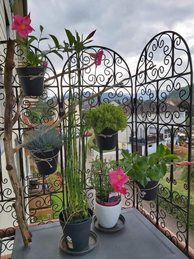 Appartement Au Cigogneau Wifi-Netflix-Balcon-Parking 묑스테르 외부 사진