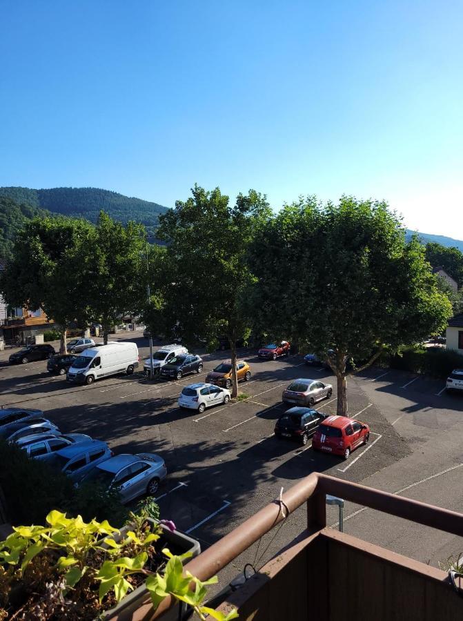 Appartement Au Cigogneau Wifi-Netflix-Balcon-Parking 묑스테르 외부 사진